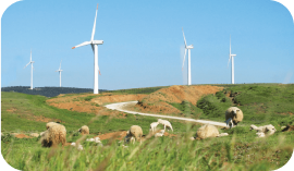 Wind Power Plant Balikesir